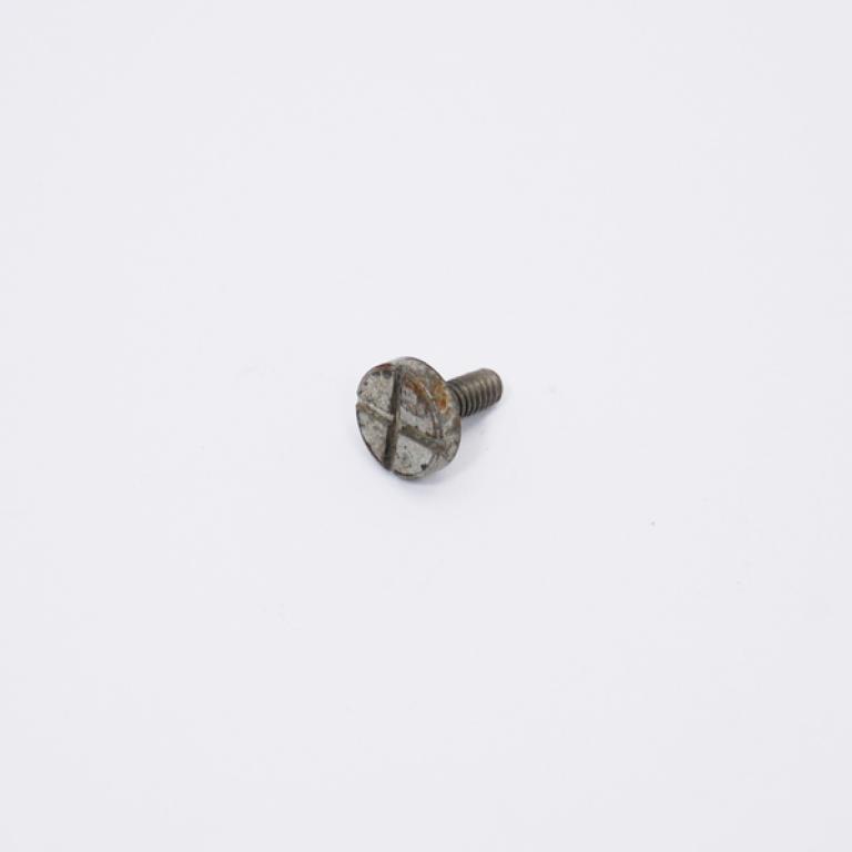 Screw for retainer gearchange plungers