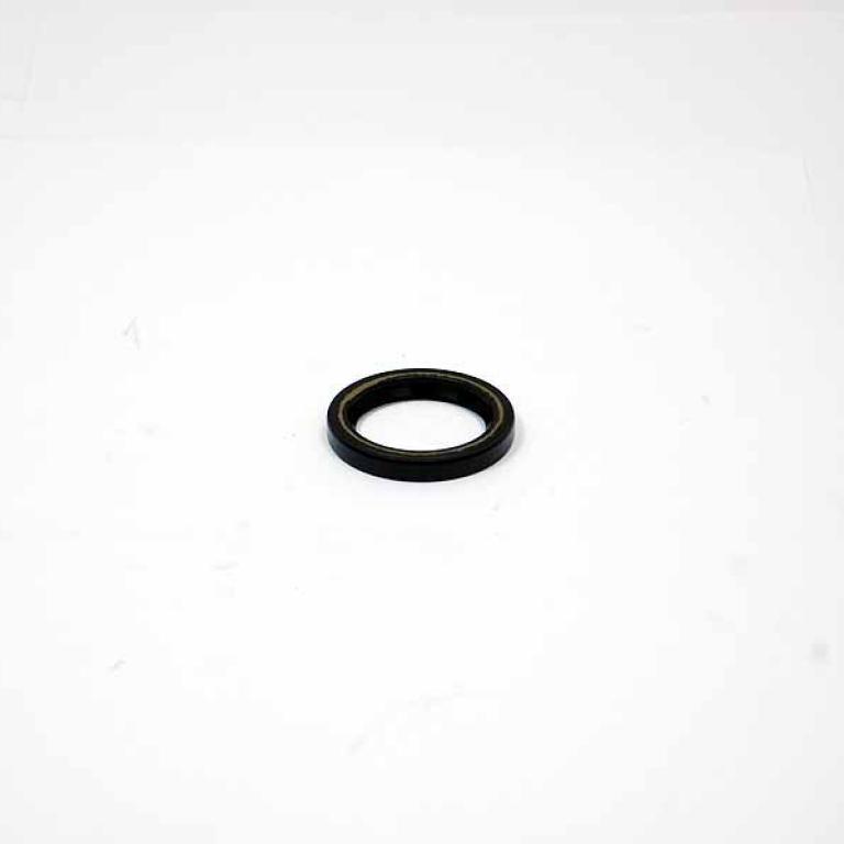 Clutch oil seal rear cover to shaft Triples