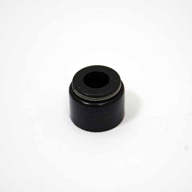 Valve guide seal with spring