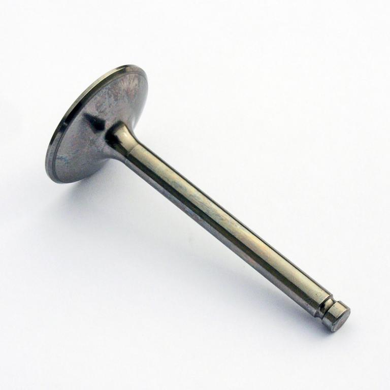 A65 Inlet valve Plasma hardened