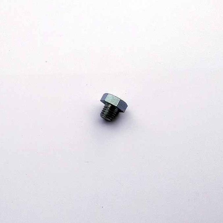 Bolt for oil way T120