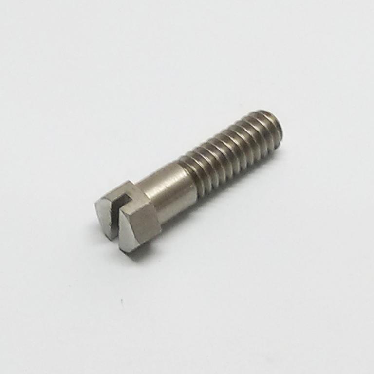 M01 Dynamo strap screw 