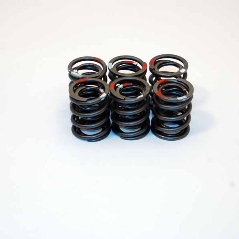 T150 T160 Valve spring set